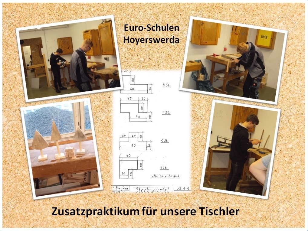 „Wozu ein Praktikum?“