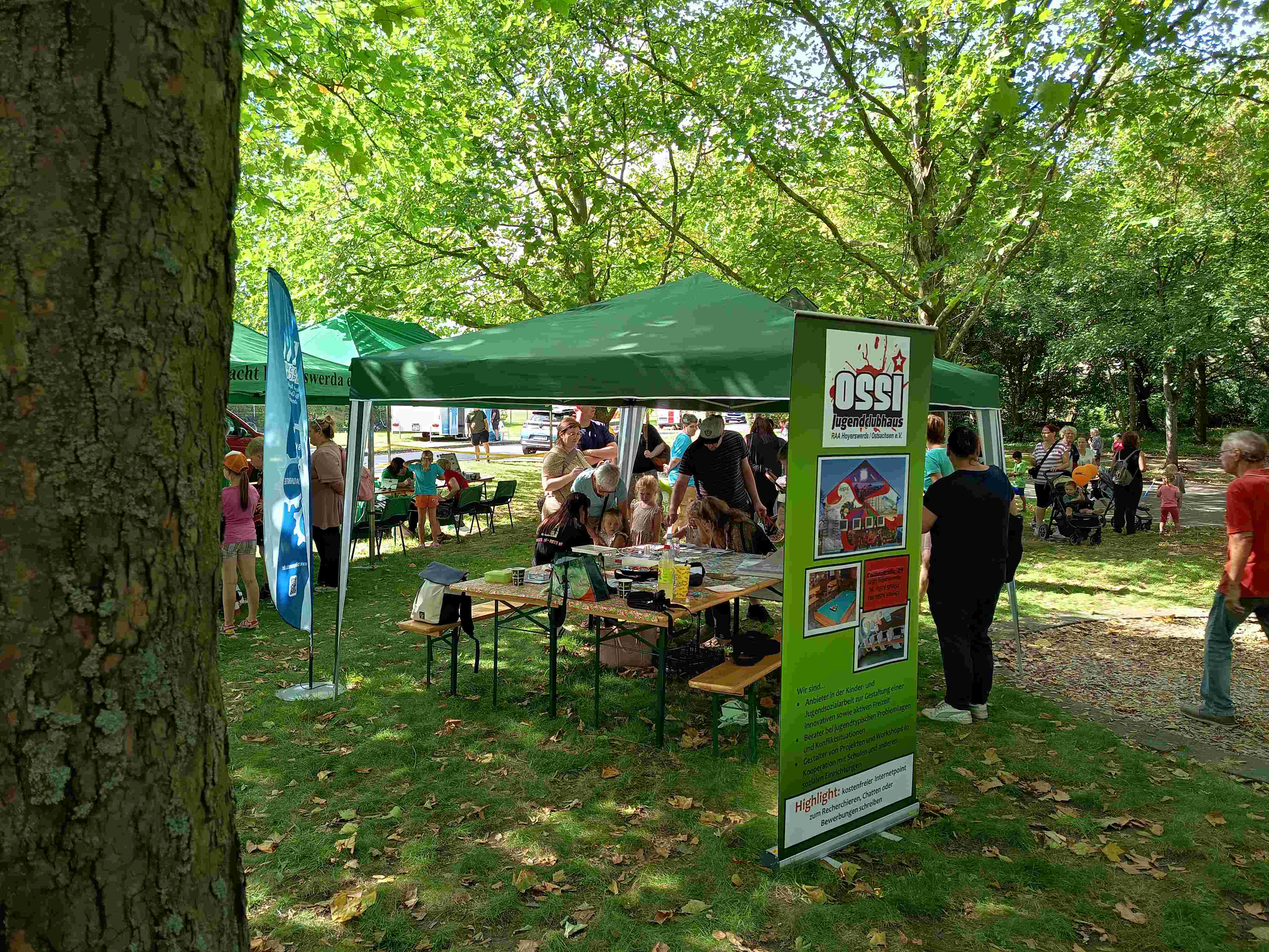 Remmi Demmi im Park